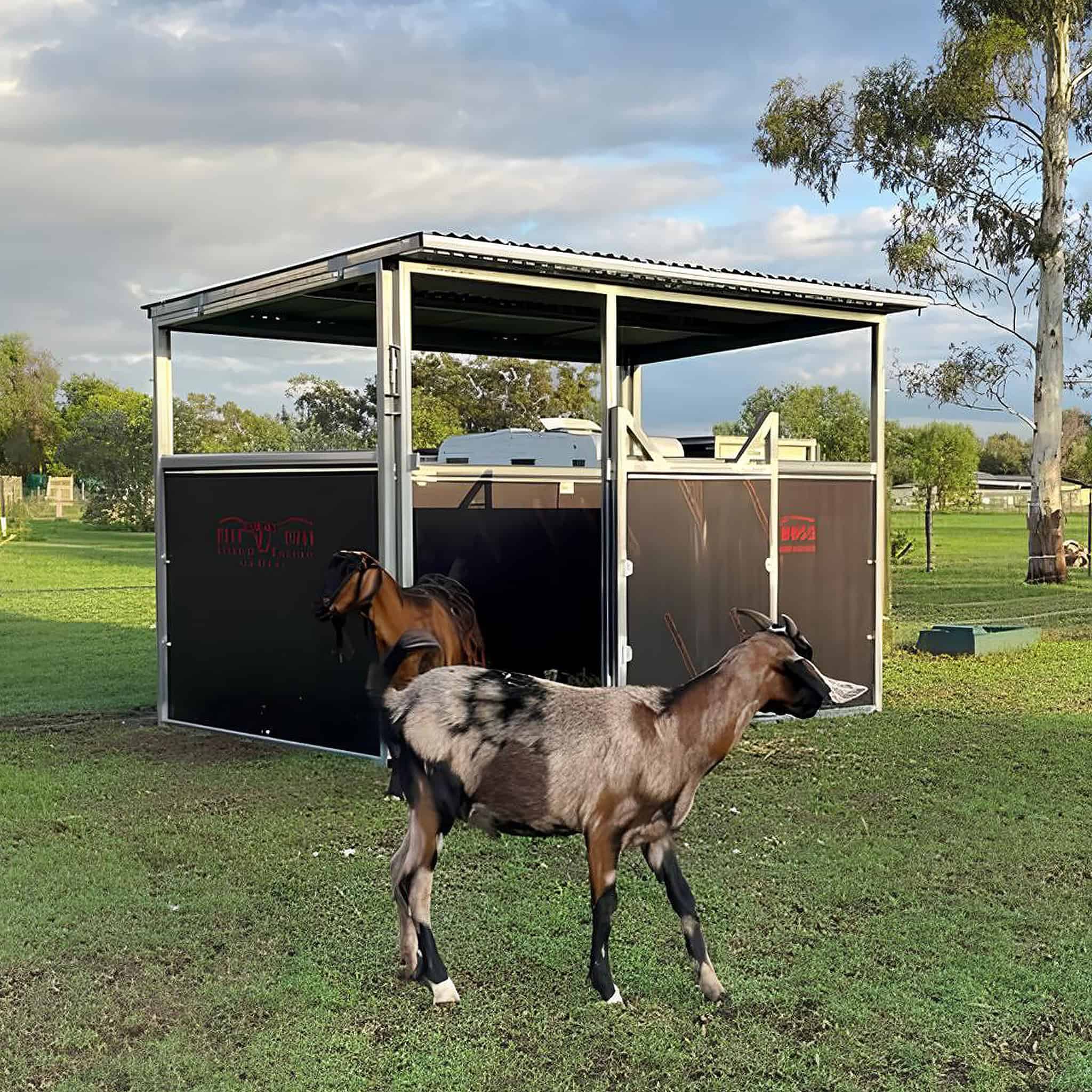Horse Shelter - The Shetland Animal Accessories Hans Steel Pty Ltd