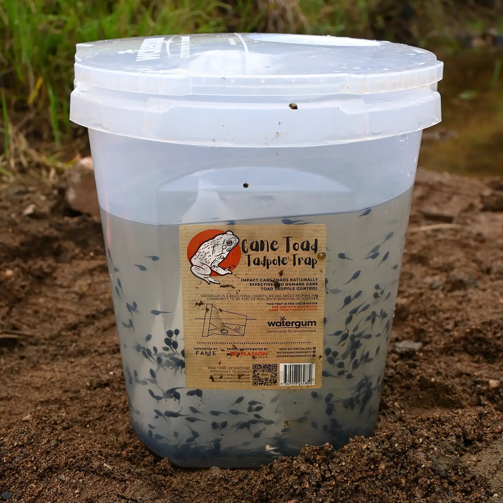 Cane Toad Tadpole Trap and Lure Package Animal Accessories Watergum Community