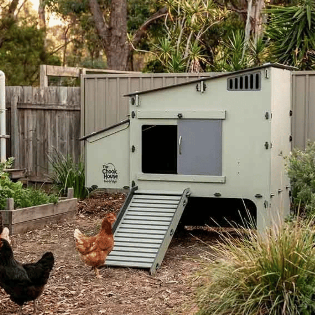 Green chicken coop