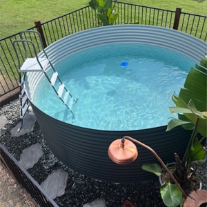 Round above-ground pool with a ladder in a backyard setting