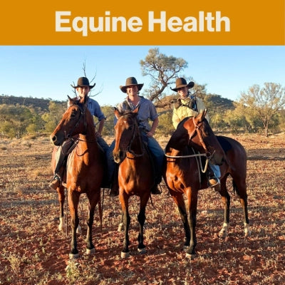 Three people riding horses in a field with 'Equine Health' text at the top.