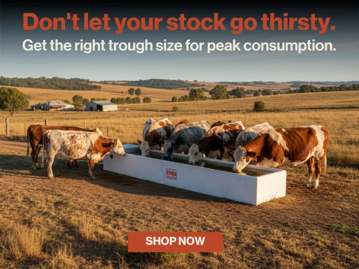 Cows drinking from a water trough in a field with promotional text overlay.