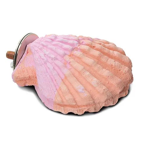 15484 - Animal Accessories - Bird Perch - Calcium Clam Parrot - Small - Austral Ag