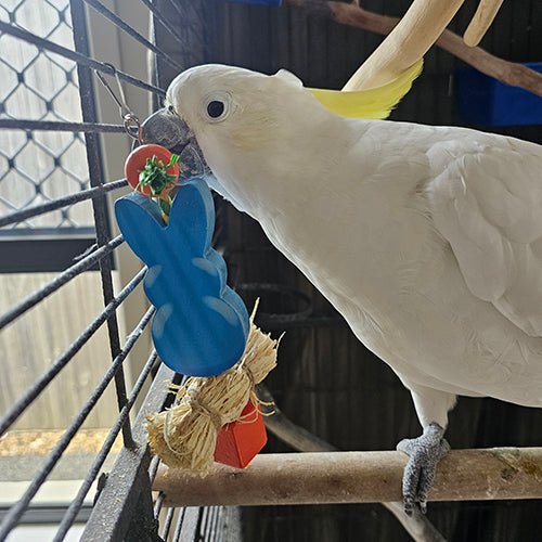 15471 - Animal Accessories - Bird/Small Animal Toy - Bunny Chew - Austral Ag