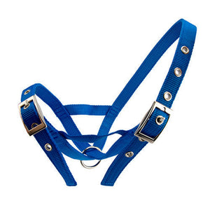 13099 - Animal Accessories - Cattle Halter Webbing Bull - Blue - Austral Ag