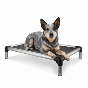 18575 - Animal Accessories - Chew Proof Dog Bed with Elevated Aluminium Frame - Large - Austral Ag
