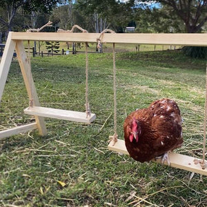 14507 - Animal Accessories - Chicken Swing - Double - Wooden Playground Chook Toy - Austral Ag