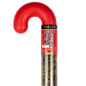 18482 - Supplementation - Chicken Treat - Christmas Cane Bug Mix - 100g - Austral Ag