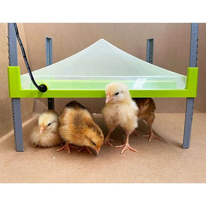 15457 - Animal Accessories - Cover For Chick Brooder Heating Plate - Small - Austral Ag