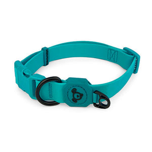 11512 - Animal Accessories - Dog Collar Waterproof - Aqua - Small - Austral Ag