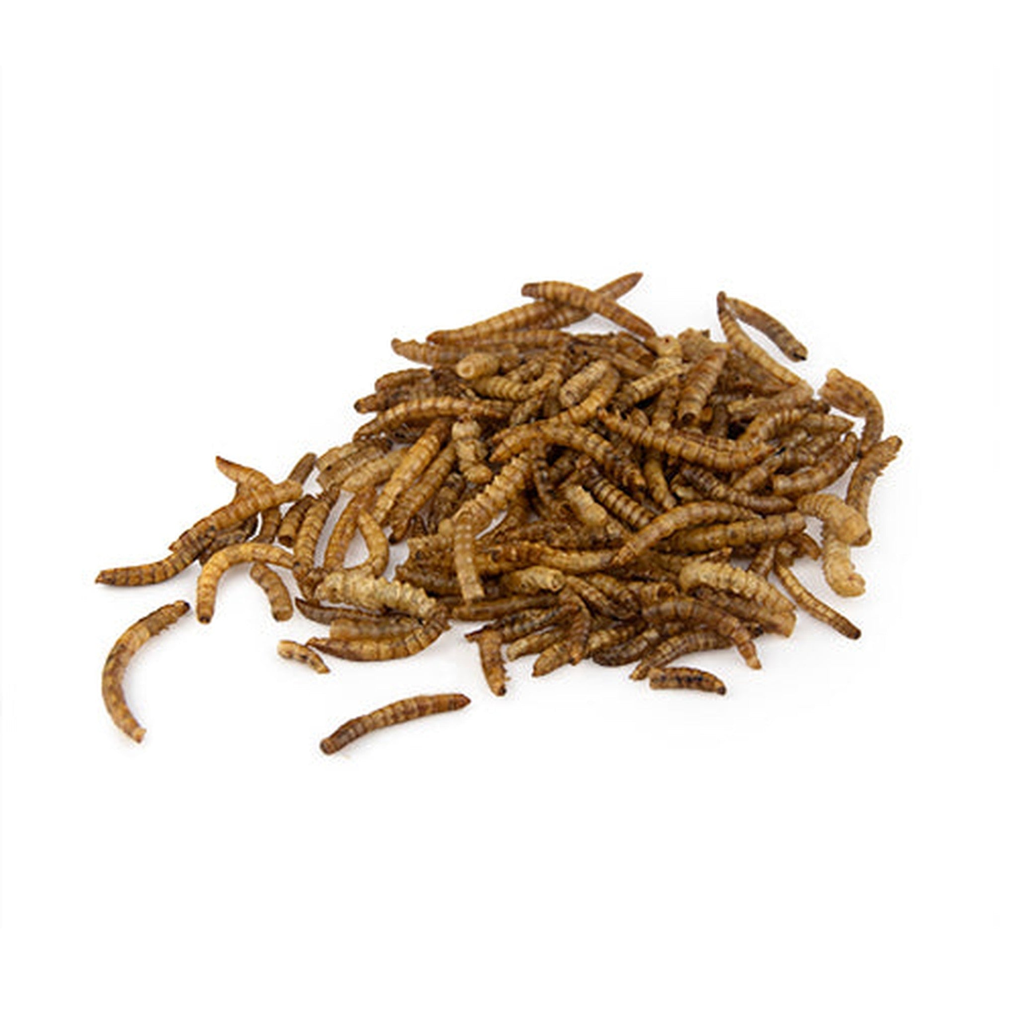 Dried Mealworms - Supplementation - Austral Ag
