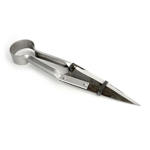 14917 - Animal Accessories - Due Buoi Shears Straight Blade - 27cm - Austral Ag