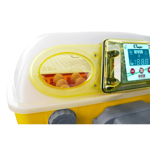 14674 - Animal Accessories - Egg Tech Egg Antibacteral Full Auto Incubator Biomaster - 12 - Austral Ag
