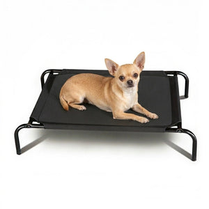 13880 - Animal Accessories - Elevated Mesh Dog Bed - Small - Austral Ag
