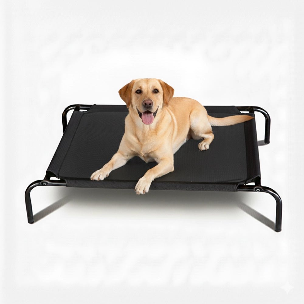13882 - Animal Accessories - Elevated Mesh Dog Bed - Large - Austral Ag
