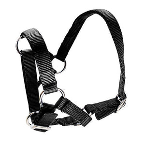 14902 - Animal Accessories - Halter for Alpacas - Black - Austral Ag