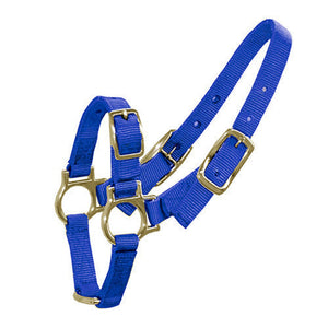 14899 - Animal Accessories - Halter for Sheep & Goats - Blue - Austral Ag