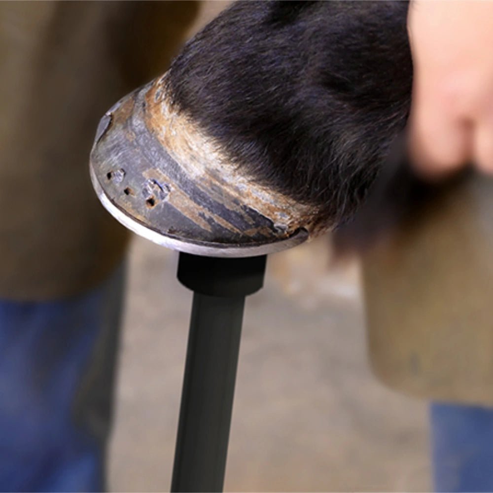 Hoof Farrier Stand - Adjustable - Animal Health - Austral Ag