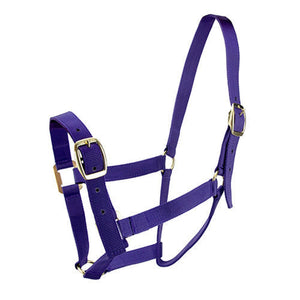 11337 - Animal Accessories - HORSE HALTER FULL - Purple - Austral Ag