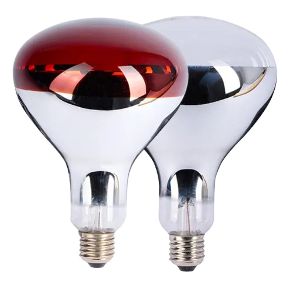 Two spot globe heat bulbs on a white background