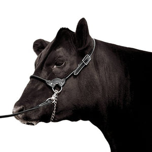 13071 - Animal Accessories - Leather Show Halter with Lead - Black - Small - Austral Ag