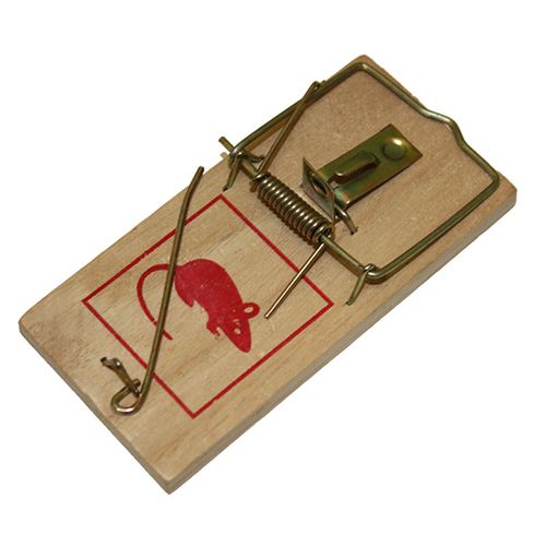 Mouse Wood Trap (2 Pack) - Hardware - Austral Ag