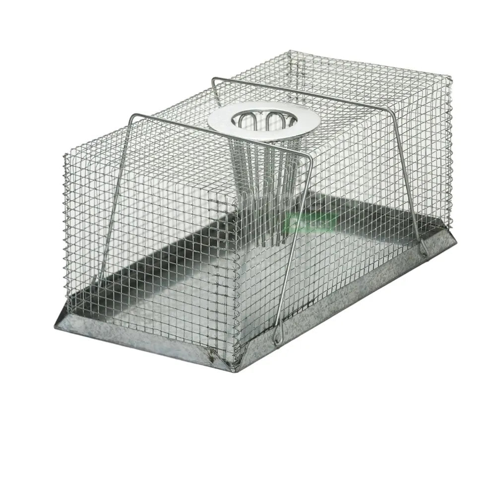 Multi Catch Trap Rat cm - Hardware - Austral Ag