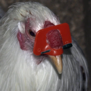 Poultry Blinder - Animal Accessories - Austral Ag
