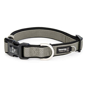 14063 - Animal Accessories - Premium Sport Dog Collar with Neoprene - Silver - XS - Austral Ag