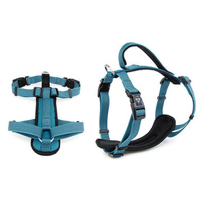 14124 - Animal Accessories - Premium Sport Dog Harness with Safety Handle - Blue - XL - Austral Ag