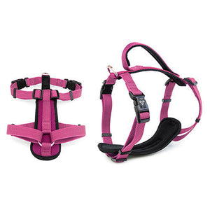 14102 - Animal Accessories - Premium Sport Dog Harness with Safety Handle - Pink - XS - Austral Ag