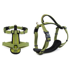14101 - Animal Accessories - Premium Sport Dog Harness with Safety Handle - Green - XS - Austral Ag