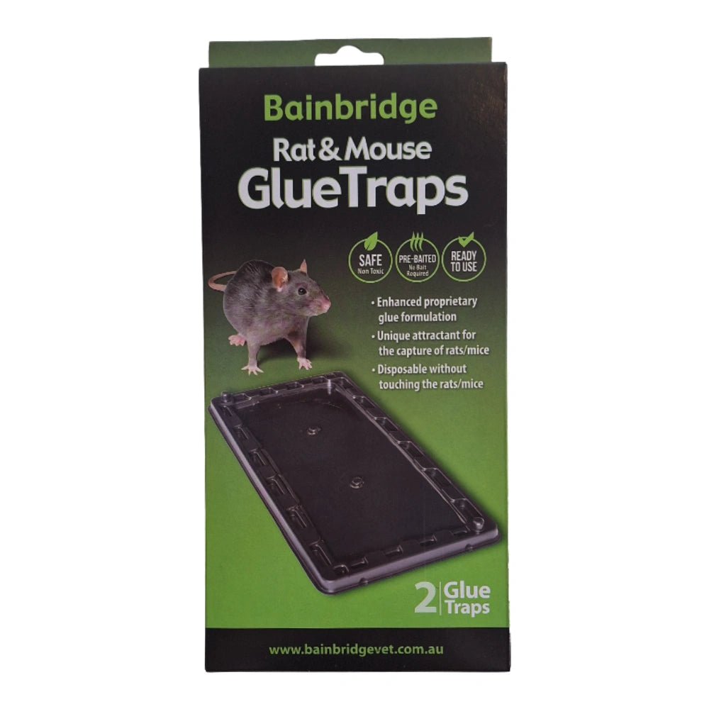 Rat Glue Trap (2 Pack) - Hardware - Austral Ag