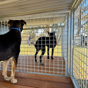 18518 - Animal Accessories - SDK Raised Dog Kennel Portable Outdoor Steel Cage with Roof - 1 - Austral Ag