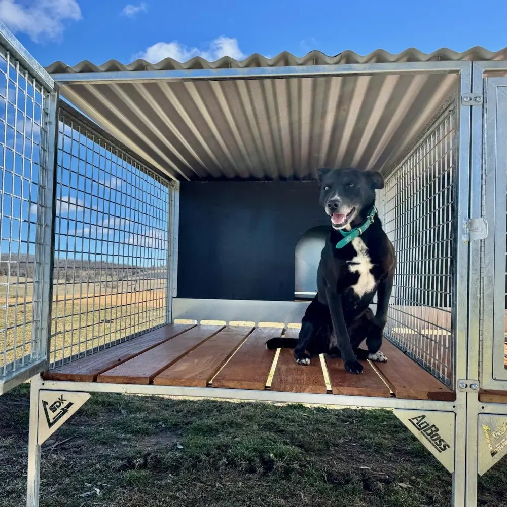 18521 - Animal Accessories - SDK Raised Dog Kennel - Portable Outdoor Steel Cage with Roof - Add On Bay - Austral Ag