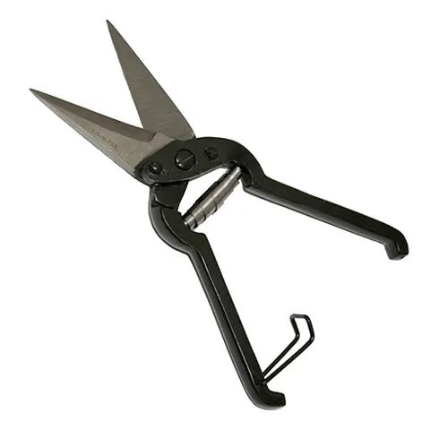 14929 - Animal Health - Standard Hoof Shears - Plain - Austral Ag