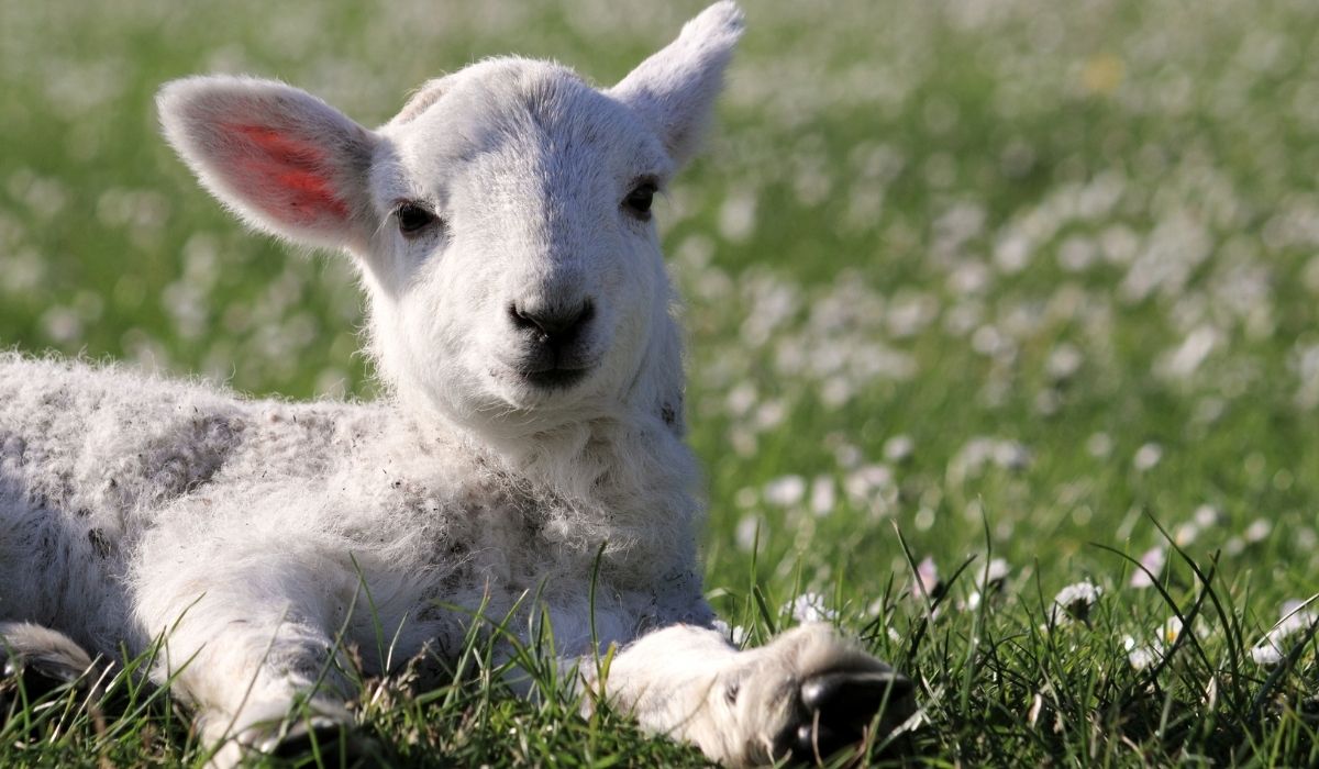 Spring into Action: Rural gear you’ll need to prep for the coming season