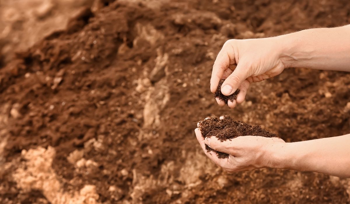 Spring into Action: The Ultimate Soil & Water Prep Guide