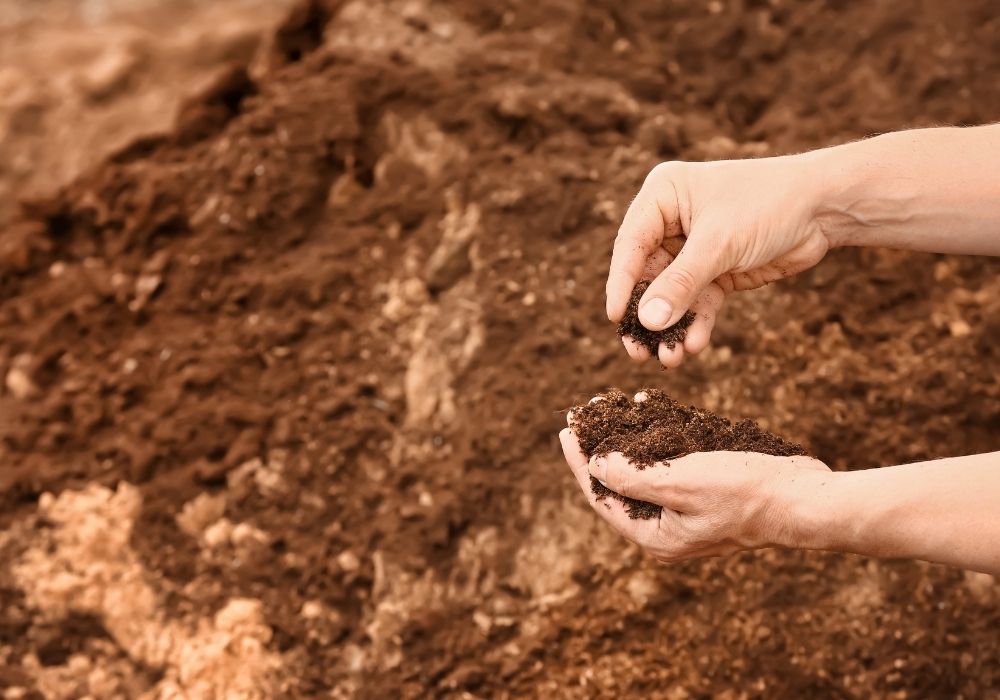 Person inspecting dirt with their hands