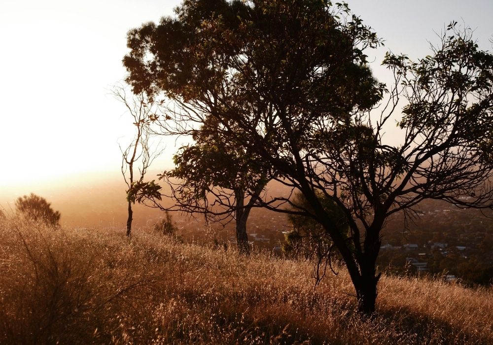 Why the Autumn Transition Starts With Your Infrastructure