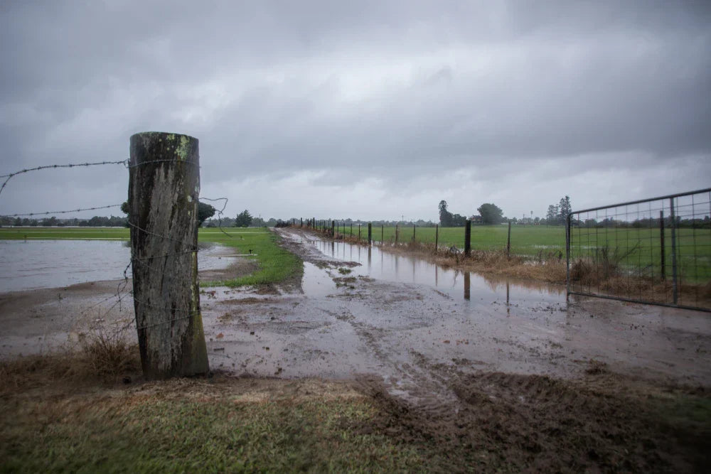 Flood recovery support for Aussie farmers – we’re here to help