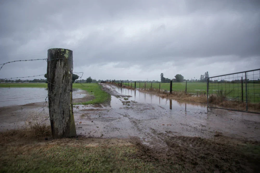 Muddy flood-damaged rural road on Aussie farm – highlighting the urgent need for flood recovery support for struggling farmers.