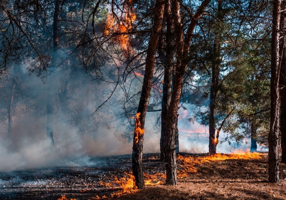 Fire Season Is Coming: Your 5-Point Water Security Checklist - Austral Ag