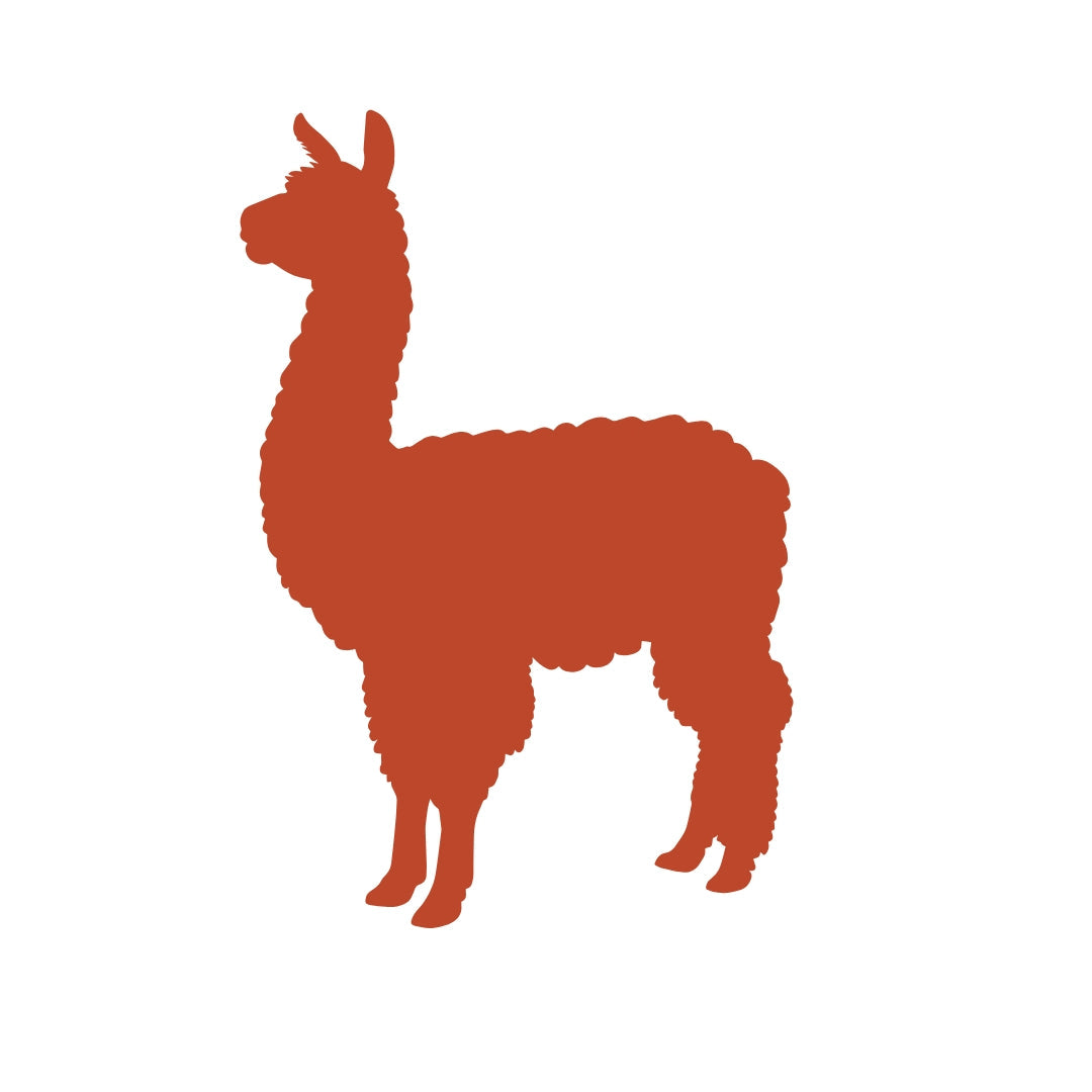 Alpacas