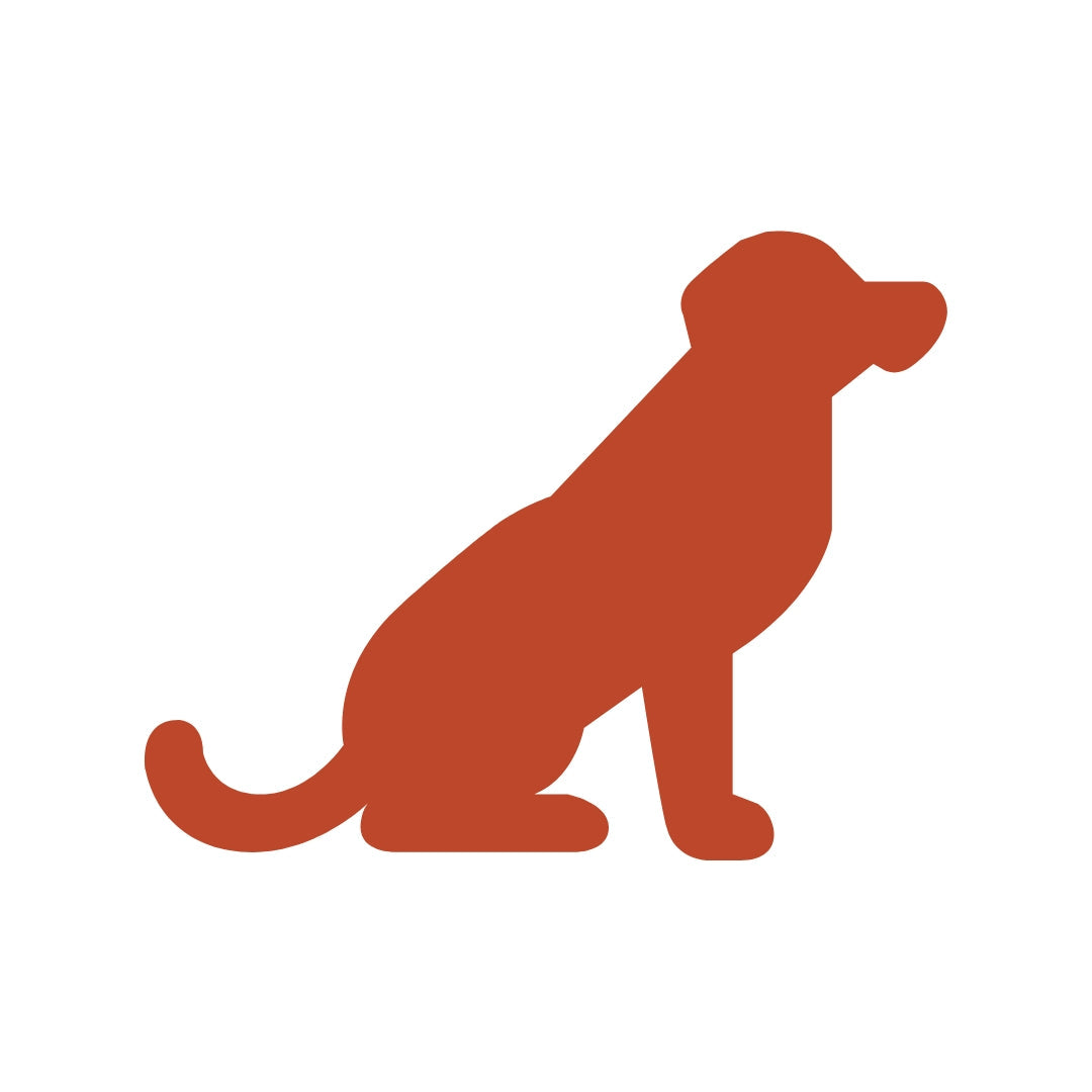 Dogs