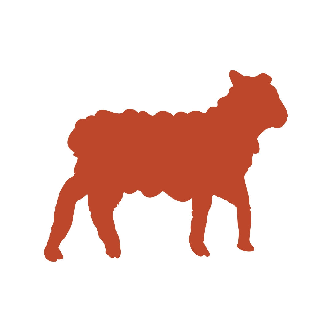 Sheep & Goats