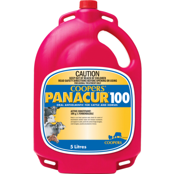 Panacur 100 for Cattle & Horses 5L
