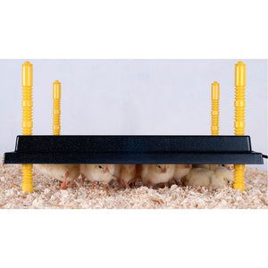 Small chicks under a black warming platform with yellow supports on a light blue background