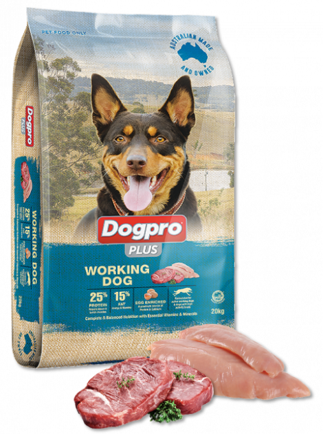 Dogpro Working Dog