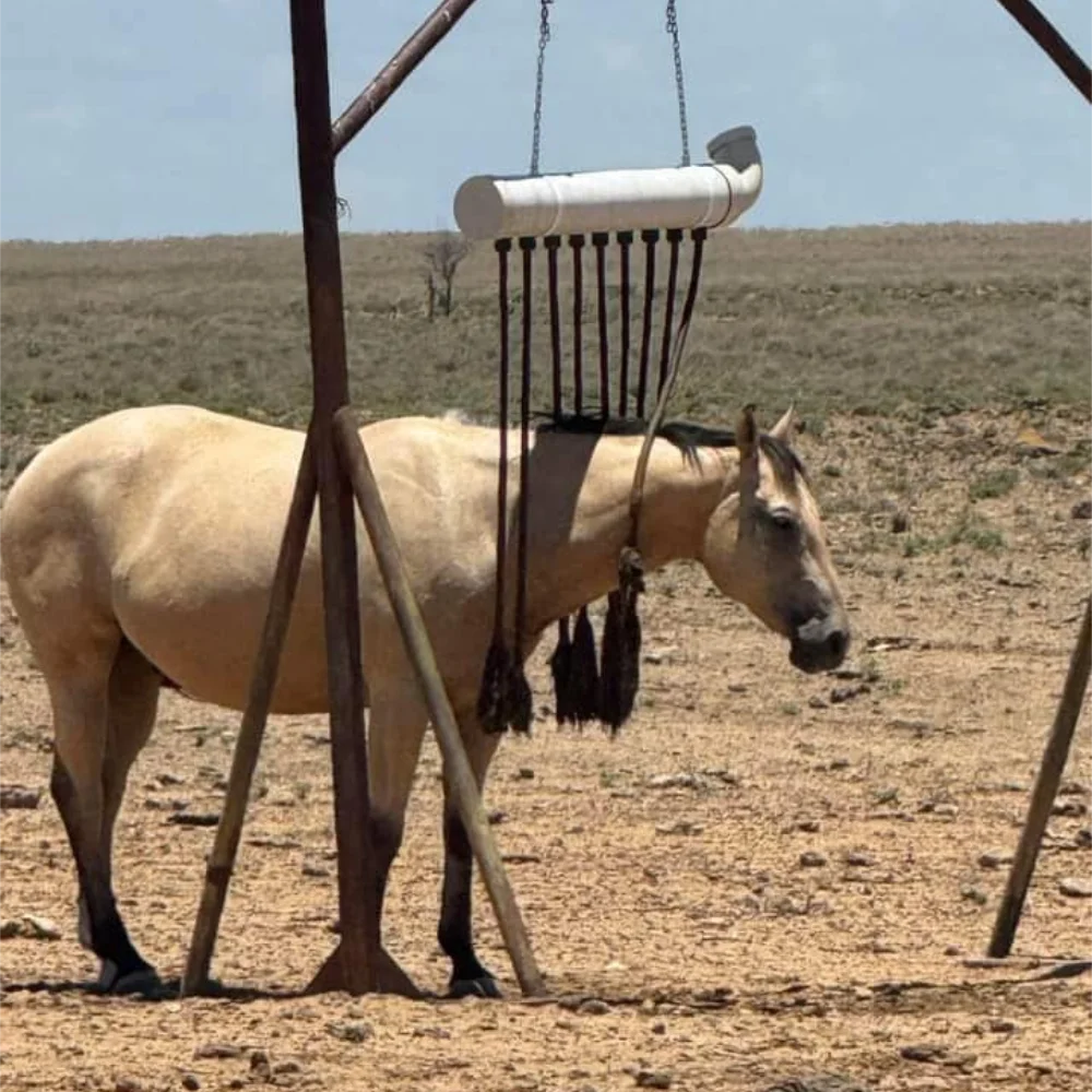 Tan horse with a fly gone cattle coat structure standing in a field with blue sky in the background.